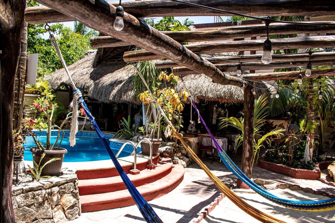 cocos cabanas playa del carmen adults only